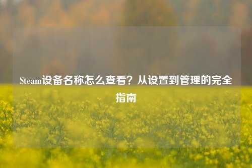Steam设备名称怎么查看?从设置到管理的完全指南
