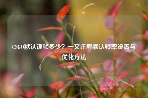 CSGO默认锁帧多少?一文详解默认帧率设置与优化方法