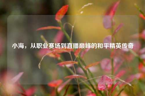 小海，从职业赛场到直播巅峰的和平精英传奇