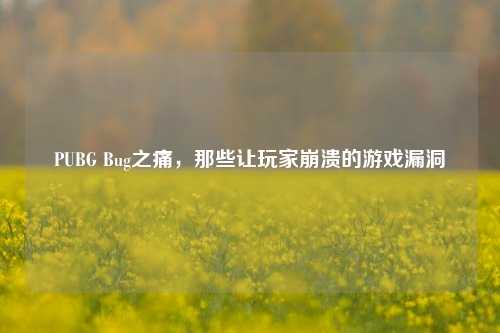 PUBG Bug之痛，那些让玩家崩溃的游戏漏洞