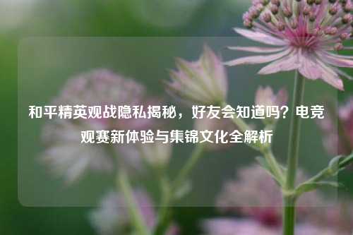和平精英观战隐私揭秘,好友会知道吗?电竞观赛新体验与集锦文化全解析