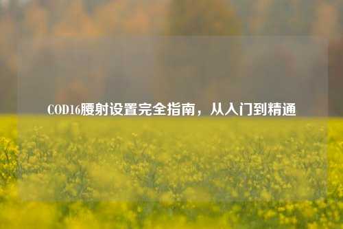 COD16腰射设置完全指南,从入门到精通
