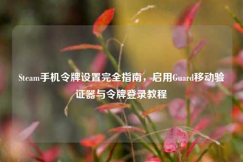 Steam手机令牌设置完全指南，启用Guard移动验证器与令牌登录教程