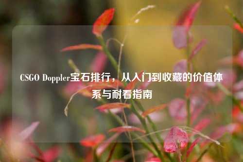 CSGO Doppler宝石排行，从入门到收藏的价值体系与耐看指南