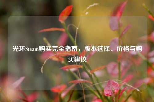 光环Steam购买完全指南，版本选择、价格与购买建议