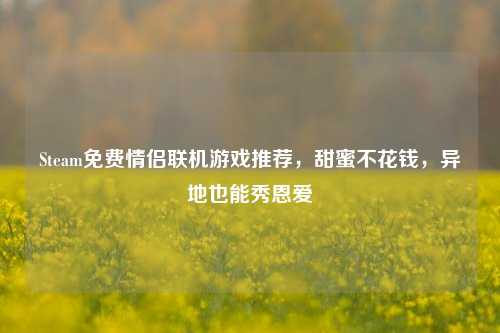 Steam免费情侣联机游戏推荐，甜蜜不花钱，异地也能秀恩爱