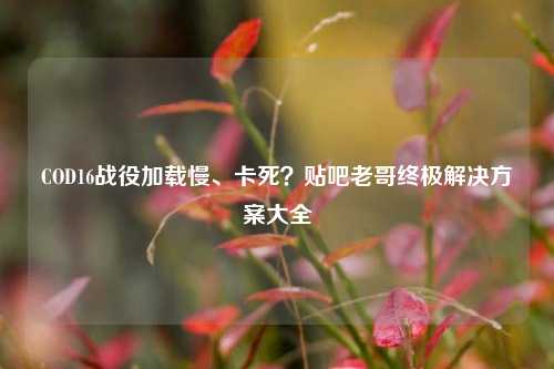 COD16战役加载慢、卡死?贴吧老哥终极解决方案大全