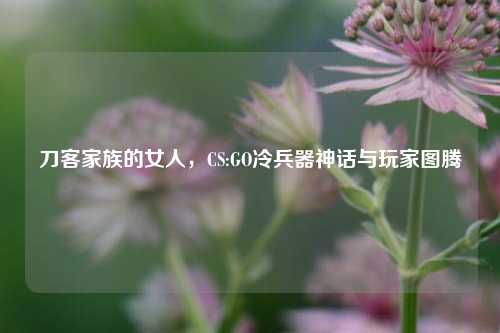 刀客家族的女人，CS:GO冷兵器神话与玩家图腾