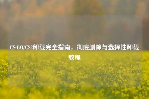 CS:GO/CS2卸载完全指南，彻底删除与选择性卸载教程
