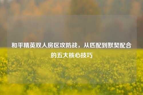 和平精英双人房区攻防战,从匹配到默契配合的五大核心技巧