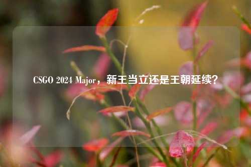 CSGO 2024 Major，新王当立还是王朝延续？