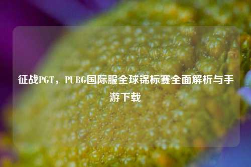 征战PGT,PUBG国际服全球锦标赛全面解析与手游下载