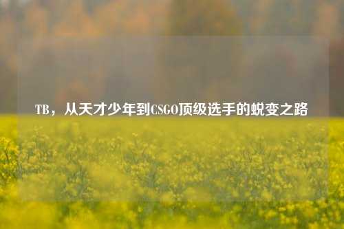 TB，从天才少年到CSGO顶级选手的蜕变之路