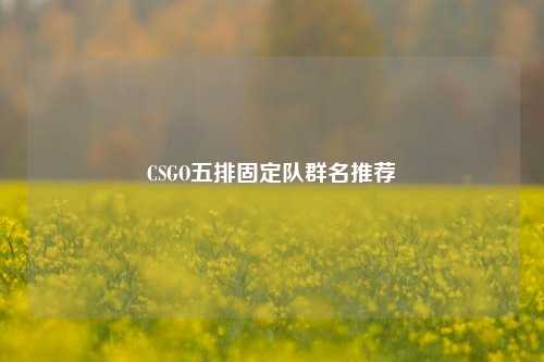 CSGO五排固定队群名推荐