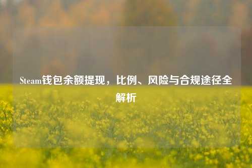 Steam钱包余额提现,比例、风险与合规途径全解析