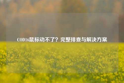 COD16鼠标动不了?完整排查与解决方案