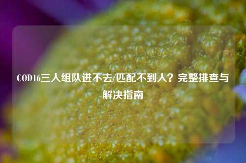COD16三人组队进不去/匹配不到人?完整排查与解决指南