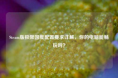 Steam版极限国度配置要求详解，你的电脑能畅玩吗？