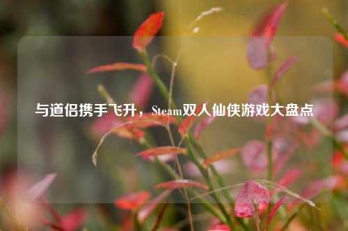 与道侣携手飞升，Steam双人仙侠游戏大盘点