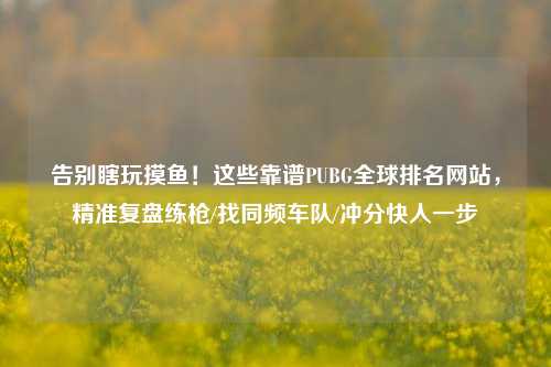 告别瞎玩摸鱼!这些靠谱PUBG全球排名网站,精准复盘练枪/找同频车队/冲分快人一步