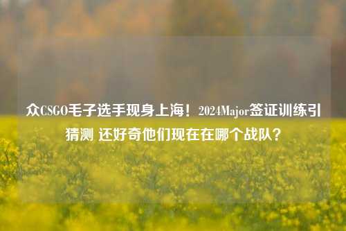 众CSGO毛子选手现身上海!2024Major签证训练引猜测 还好奇他们现在在哪个战队?
