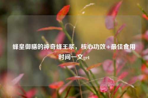 蜂皇御膳的神奇蜂王浆,核心功效+最佳食用时间一文get