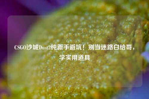 CSGO沙城Dust2纯新手避坑!别当迷路白给哥,学实用道具