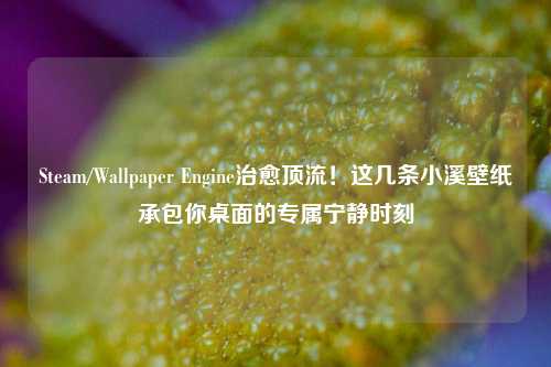 Steam/Wallpaper Engine治愈顶流!这几条小溪壁纸承包你桌面的专属宁静时刻