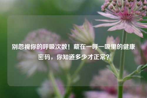 别忽视你的呼吸次数!藏在一呼一吸里的健康密码,你知道多少才正常?