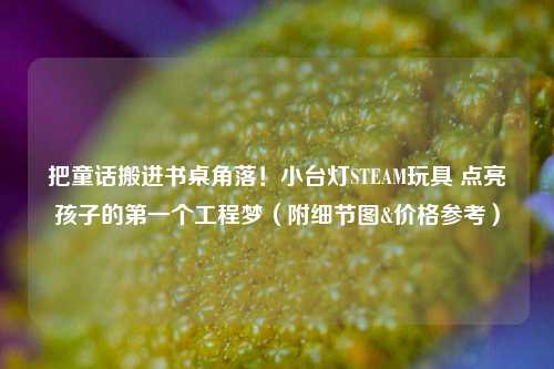 把童话搬进书桌角落!小台灯STEAM玩具 点亮孩子的第一个工程梦(附细节图&价格参考)