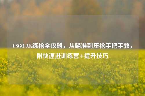 CSGO AK练枪全攻略,从瞄准到压枪手把手教,附快速进训练营+提升技巧