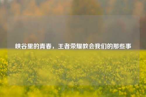 峡谷里的青春，王者荣耀教会我们的那些事