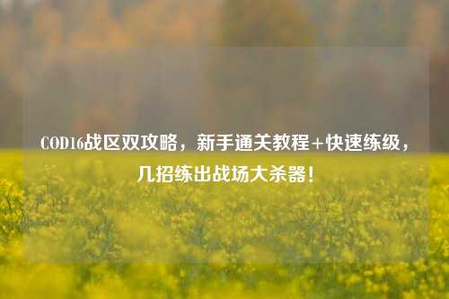 COD16战区双攻略,新手通关教程+快速练级,几招练出战场大杀器!