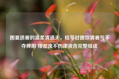 困夏逃暑的温柔清道夫,桂苓甘露饮清暑气不夺脾阳 排湿浊不伤津液含完整组成