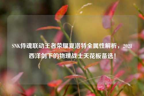 SNK侍魂联动王者荣耀夏洛特全属性解析,2021西洋剑下的物理战士天花板备选!
