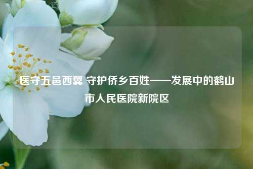 医守五邑西翼 守护侨乡百姓——发展中的鹤山市人民医院新院区