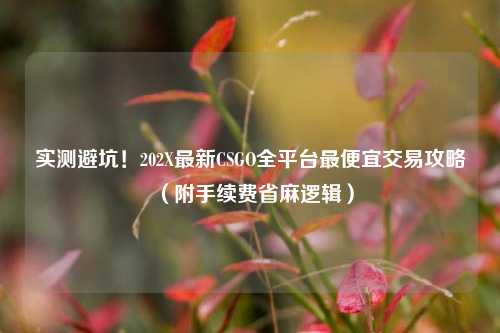实测避坑!202X最新CSGO全平台最便宜交易攻略(附手续费省麻逻辑)