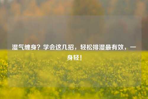 湿气缠身?学会这几招,轻松排湿最有效,一身轻!