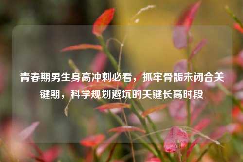 青春期男生身高冲刺必看,抓牢骨骺未闭合关键期,科学规划避坑的关键长高时段