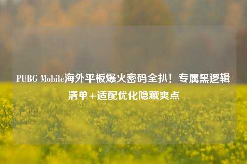 PUBG Mobile海外平板爆火密码全扒!专属黑逻辑清单+适配优化隐藏爽点