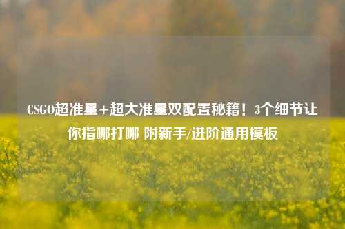 CSGO超准星+超大准星双配置秘籍!3个细节让你指哪打哪 附新手/进阶通用模板