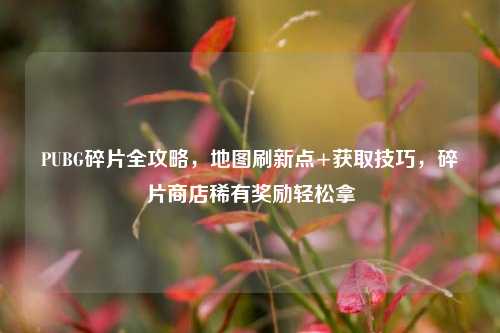 PUBG碎片全攻略，地图刷新点+获取技巧，碎片商店稀有奖励轻松拿