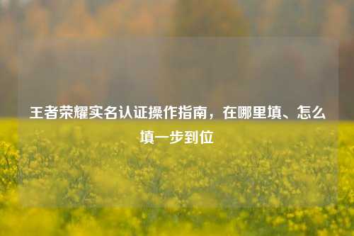 王者荣耀实名认证操作指南，在哪里填、怎么填一步到位
