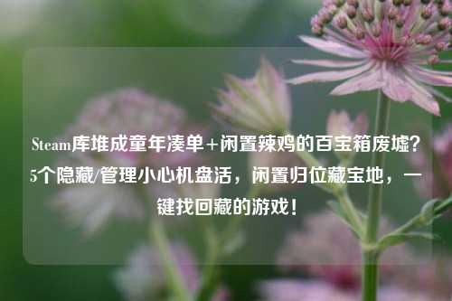 Steam库堆成童年凑单+闲置辣鸡的百宝箱废墟?5个隐藏/管理小心机盘活,闲置归位藏宝地,一键找回藏的游戏!