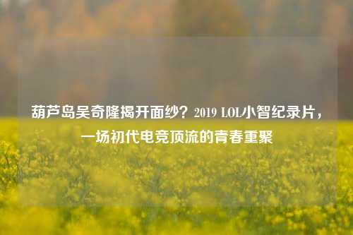 葫芦岛吴奇隆揭开面纱?2019 LOL小智纪录片,一场初代电竞顶流的青春重聚