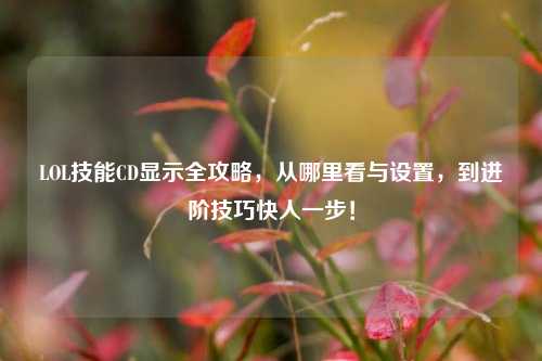 LOL技能CD显示全攻略，从哪里看与设置，到进阶技巧快人一步！