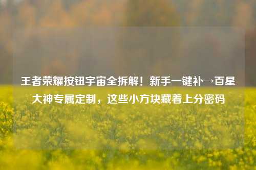 王者荣耀按钮宇宙全拆解！新手一键补→百星大神专属定制，这些小方块藏着上分密码