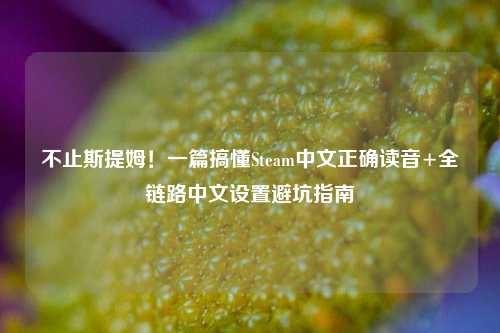 不止斯提姆！一篇搞懂Steam中文正确读音+全链路中文设置避坑指南