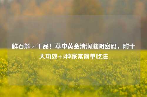 鲜石斛≠干品!草中黄金清润滋阴密码,附十大功效+5种家常简单吃法