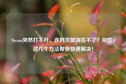 Steam突然打不开、连网页都浏览不了?别慌,这几个方法帮你快速解决!